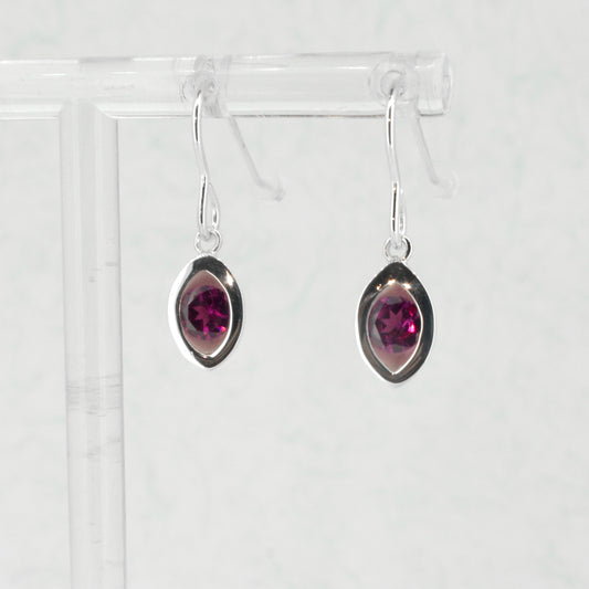 Pod Hanging Earrings