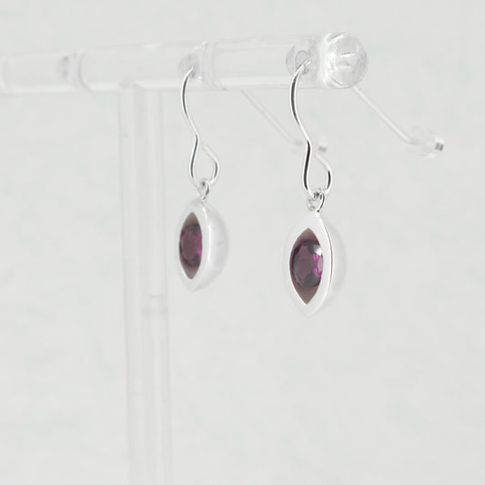 Pod Hanging Earrings
