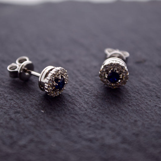 White Gold Sapphire Earrings