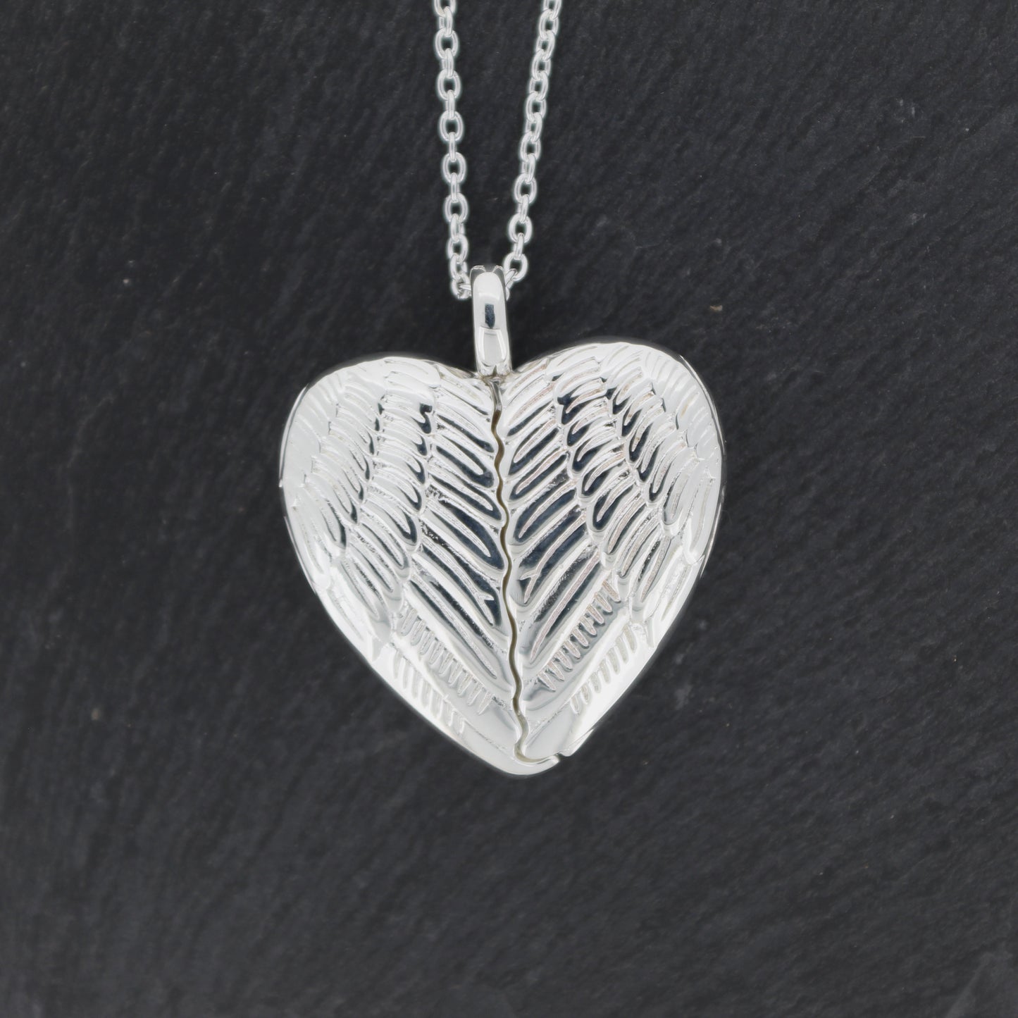 Heart Locket and Chain