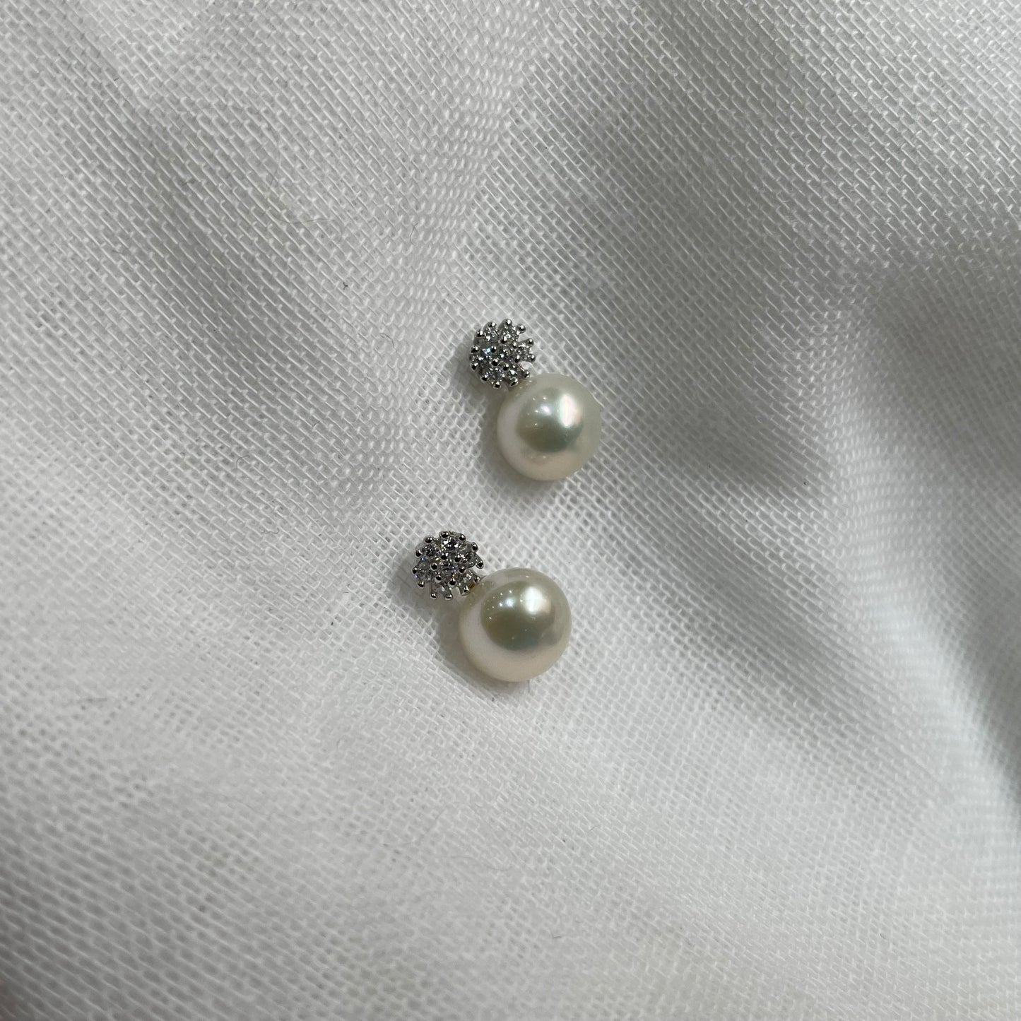 Fresh Water Pearl Studs