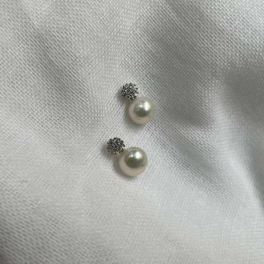 Fresh Water Pearl Studs
