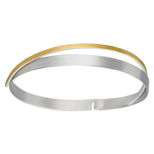 AR80 - Silver & Gold Bangle