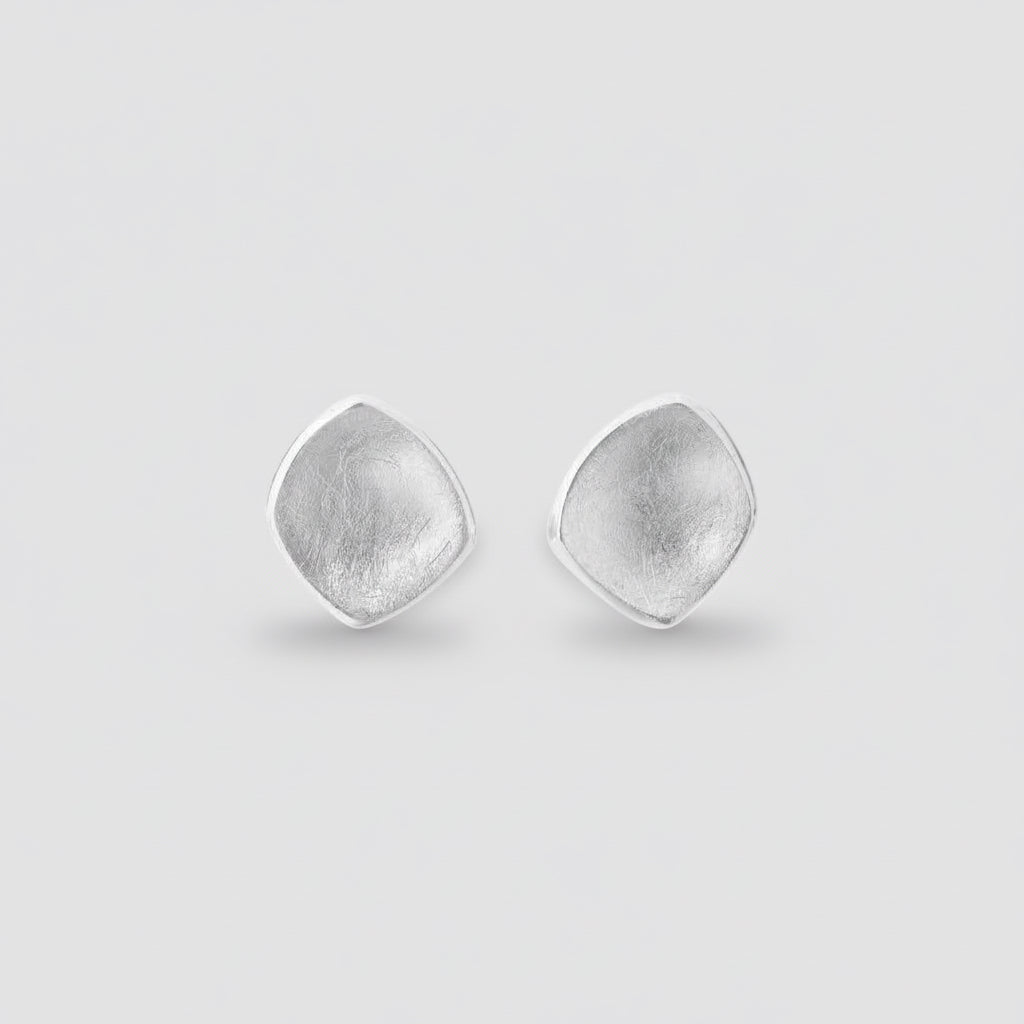 Pair of silver earrings on a white background