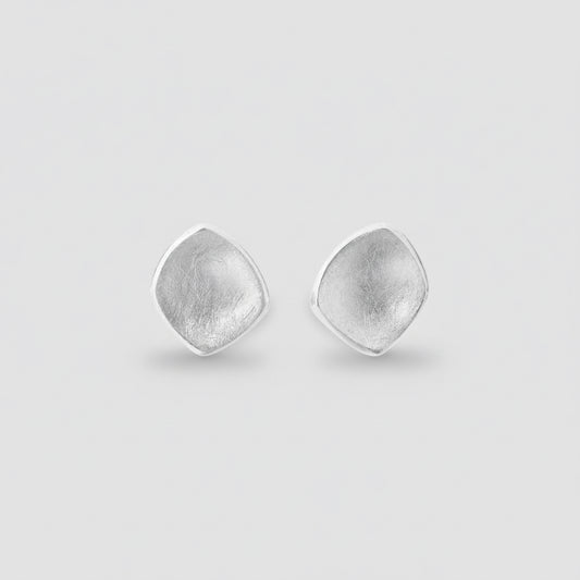Pair of silver earrings on a white background