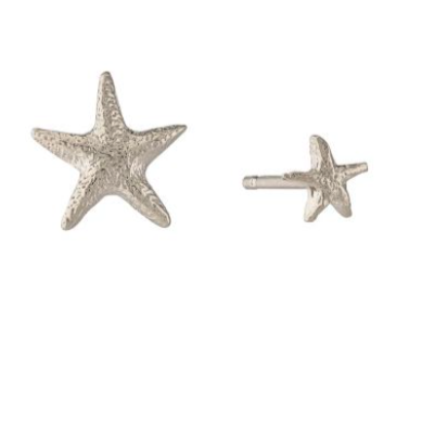 Asymmetric Starfish Studs